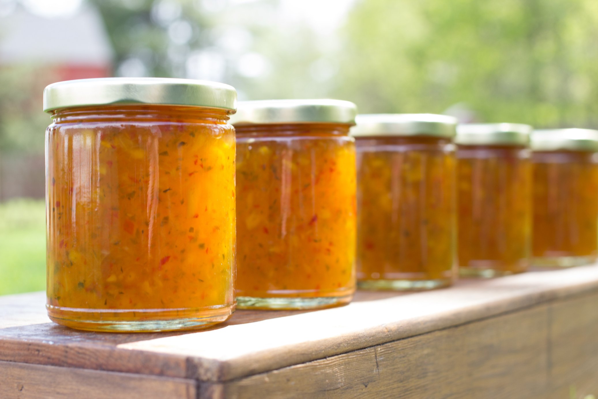 Mango Pepper Jelly Jars in a Row